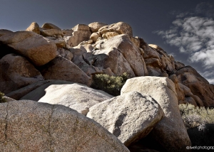 Rocks, Morning, Joshua Tree National Park